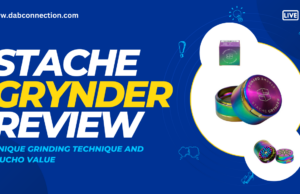 Stache Grynder Review