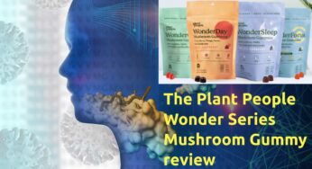The Plant People Mushroom Gummy Supplements | A+ Nootropic Potential
