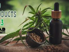 6 Surprising Products Made with CBD in 2023 cbd-PRODUCTS-2023