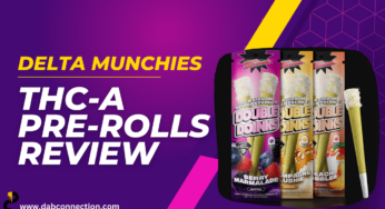 Delta Munchies THC-A Pre-rolls Review – Satisfying Experience