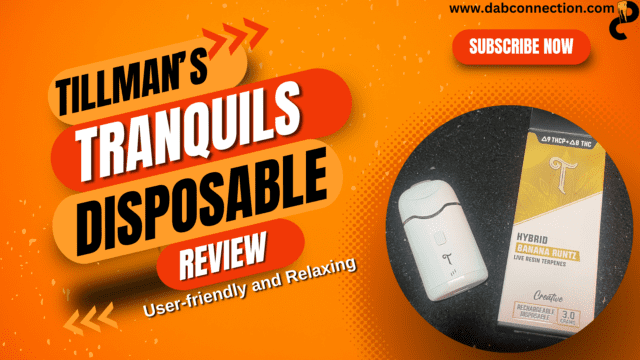 tilmans tranquils disposable review