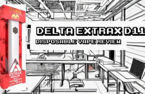 Delta-Extrax-D11-Disposable_review