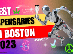 Best Dispensaries in Boston 2023