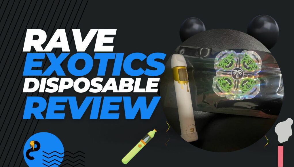 rave-exotics-disposable-review rave exotic disposable review
