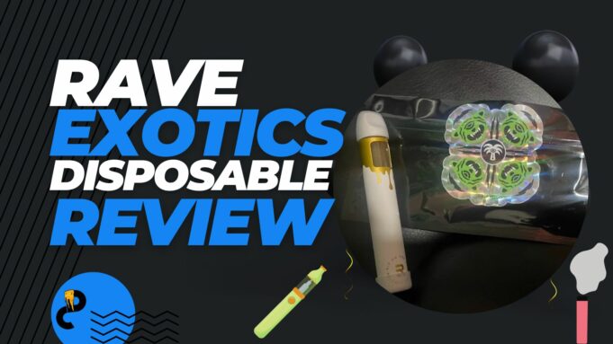 rave exotic disposable review