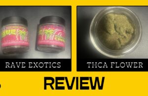 rave exotics thca flower review