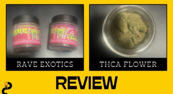 Rave Exotics THCA Flower – Relaxing and Mild
