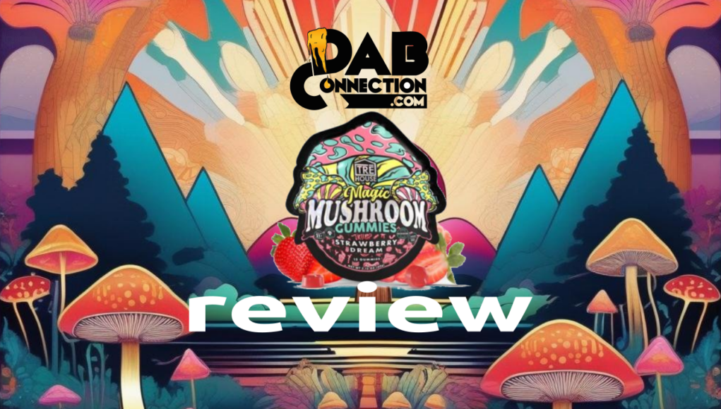 TRE House Magic Mushroom Gummies | Psychedelic, But May Need Work - Magic Mushroom Gummies Tre House Reviews