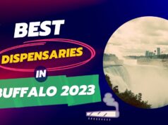 Best Dispensaries in Buffalo 2023