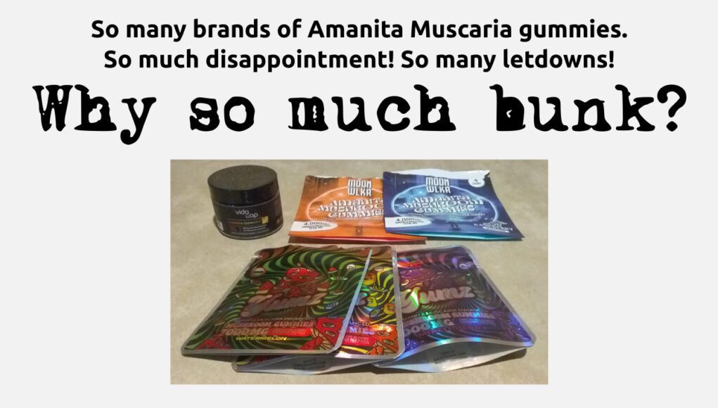Most-Amanita-Gummies-Are-Bunk Most-Amanita-Gummies-Are-Bunk