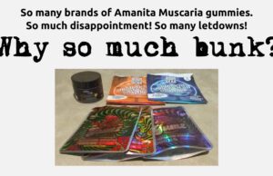 Most-Amanita-Gummies-Are-Bunk