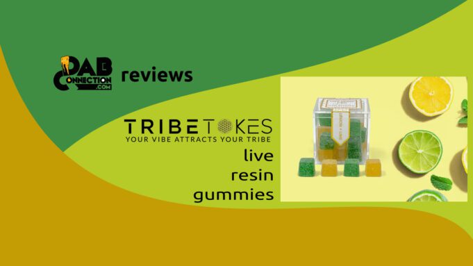 TribeTokes Delta 8 Live Resin Gummies – A Perfect Harmony Tribe-Tokes-delta-8-live-resin-gummies