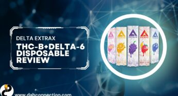 Delta Extrax THC-B+Delta-6 Disposable – Great Taste