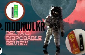 moonwlkr disposables review