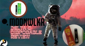 MoonWlkr D8 Disposable Review – User-Friendly and Tasty