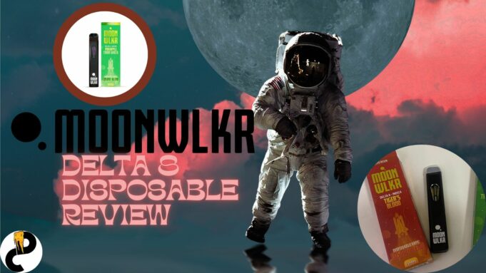 moonwlkr disposables review