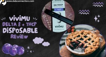 Vivimu Delta 8 + THCp Disposable Review