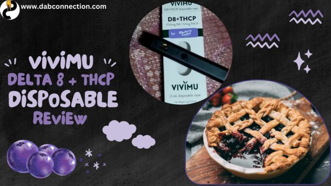 vivimu disposable review