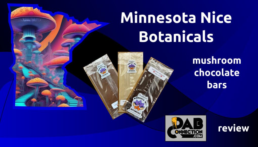 Minnesota-Nice-mushroom-chocolate-bars