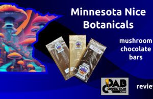 Minnesota-Nice-mushroom-chocolate-bars