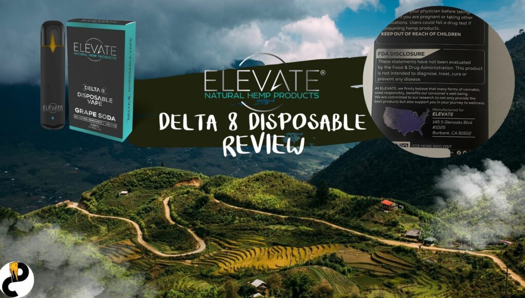 elevate-disposable-review elevate disposable review