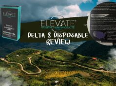 ELEVATE Delta 8 Disposable Review – Relatively Average elevate disposable review