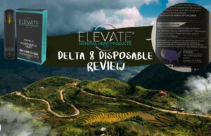 elevate disposable review