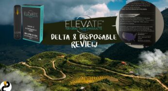ELEVATE Delta 8 Disposable Review – Relatively Average