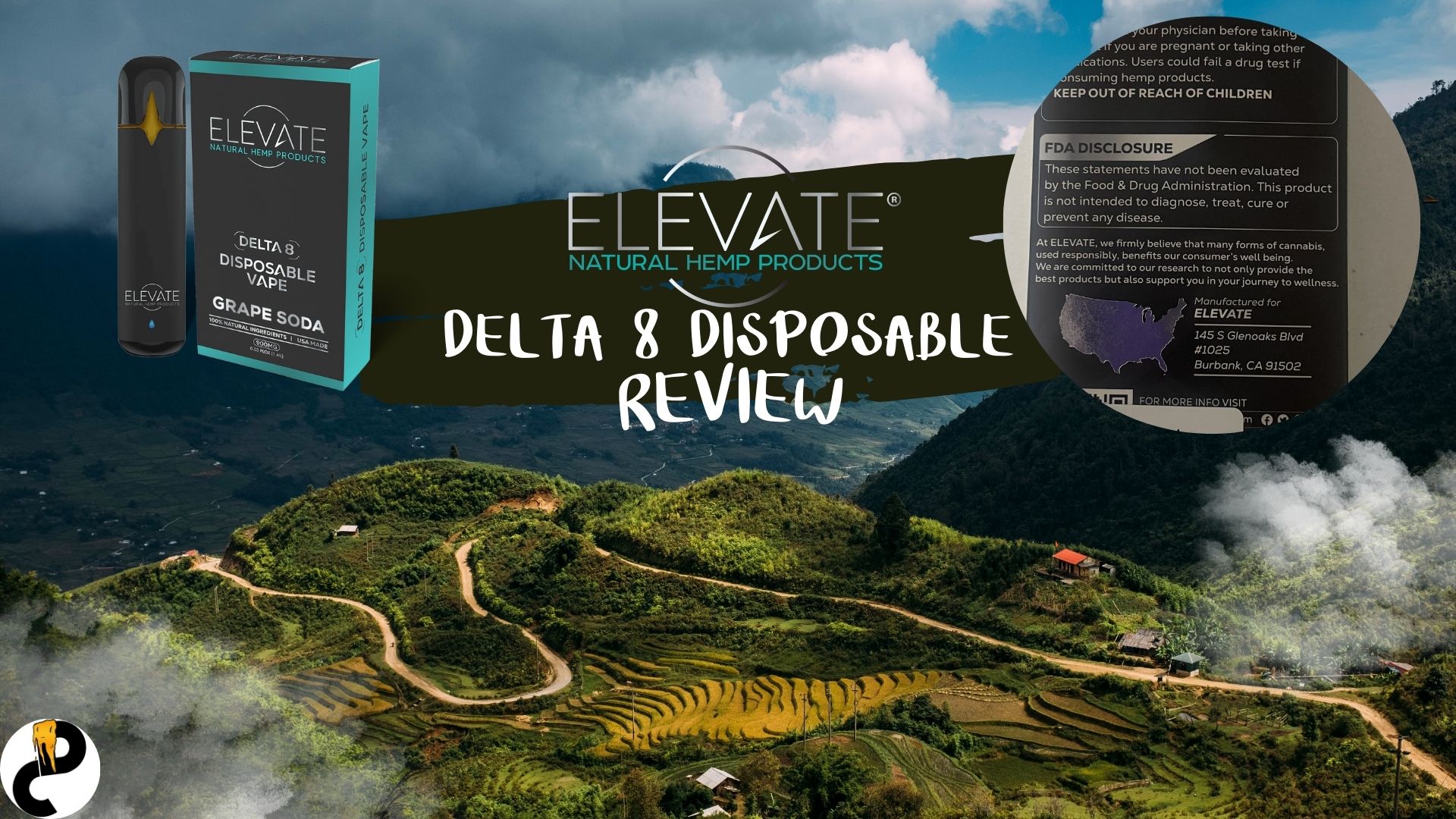ELEVATE Delta 8 Disposable Review - Relatively Average