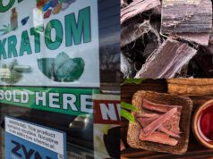 Exciting Ethnobotanicals: A Look at Green Kratom And Mimosa Root Bark kratom-and-mimosa