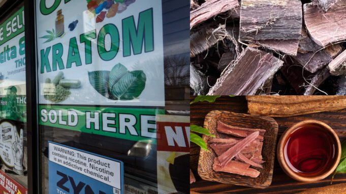 Exciting Ethnobotanicals: A Look at Green Kratom And Mimosa Root Bark kratom-and-mimosa