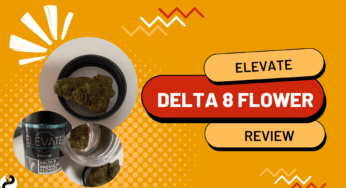 Elevate Delta 8 Flower Review – Enjoyable