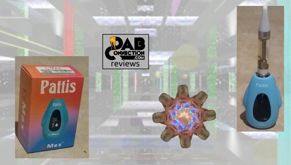 XMAX-Pattis-battery-review