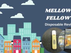 Mellow Fellow Disposable Review – Great Blend