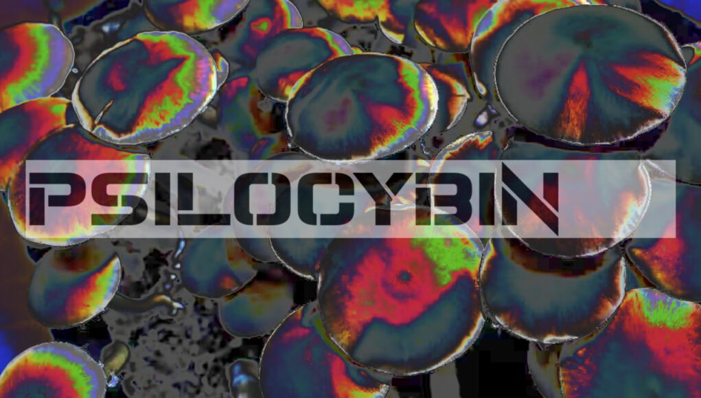 psilocybin psilocybin