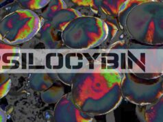 Psilocybin psilocybin