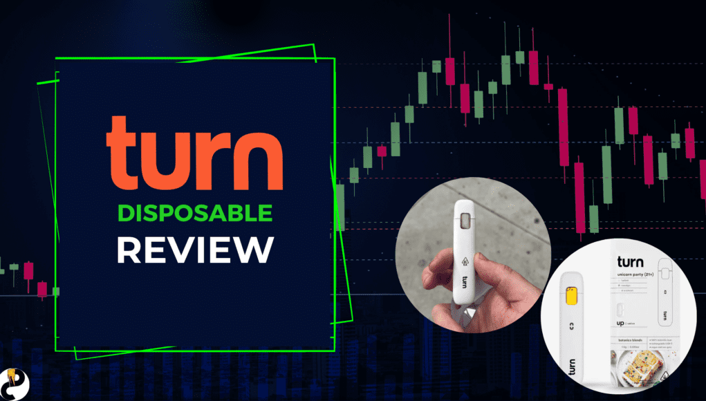 turn-review turn review