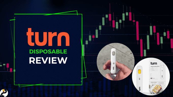 Turn Disposable Review – Worth a Puff or Two turn review