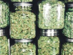 The Art of Canning: A Home Economist’s Perspective