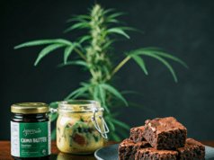 Cannabutter 101: A Dabber’s Guide