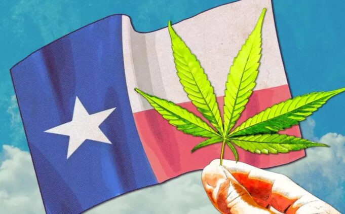 Texas: A Paradox of Prohibition and Abundance