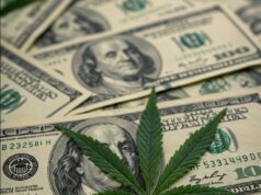 Cannabis Sales Top $1 Billion in 11 US States in 2024