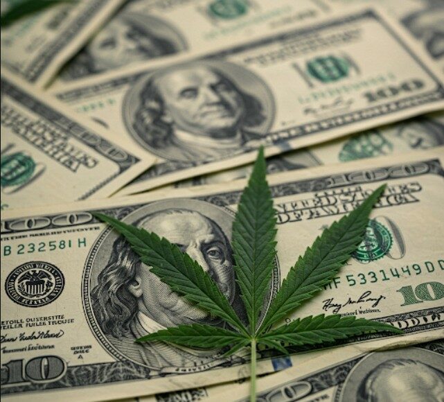 cannabis usa