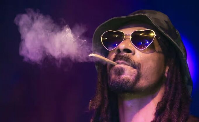 The Biggest Celebrity Cannabis Brands of 2025: New Drops from Wiz Khalifa, Lil Baby & More