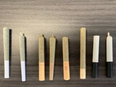 Mini Joints: The New Must-Have for Cannabis Consumers