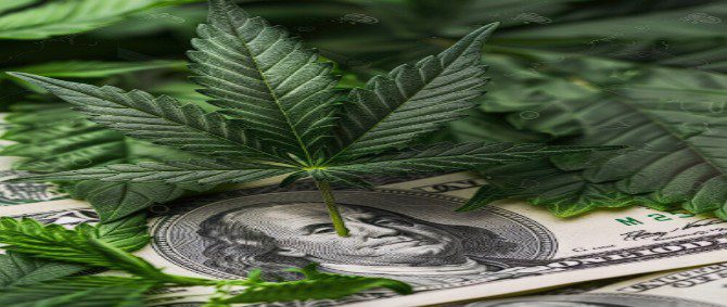 Save Money with a Medical Marijuana Card in 2026 Image