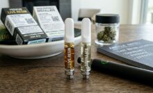 do pax pods fit in stiiizy STIIIZY THC Pods & Disposables Review: Does STIIIZY Meet the Hype? main image 1